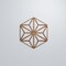 Ekena Millwork Large Hampton Decorative Fretwork Wood Wall Panels, Walnut, 23 3/8"W x 27 "H x 3/8"T WALW24X24X0375HMPWA - alternate 4